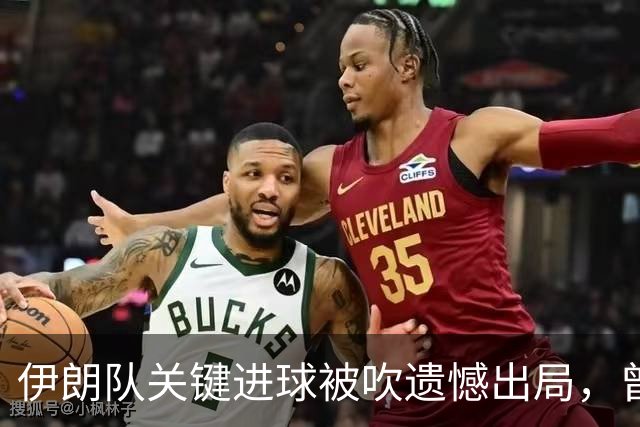 伊朗队关键进球被吹遗憾出局，曾任教哈佛大学的伊朗学者向FIFA索赔10亿美元