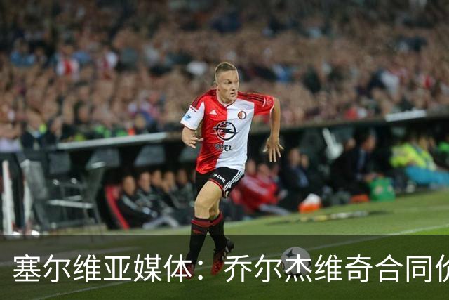 塞尔维亚媒体：乔尔杰维奇合同价值100万美元