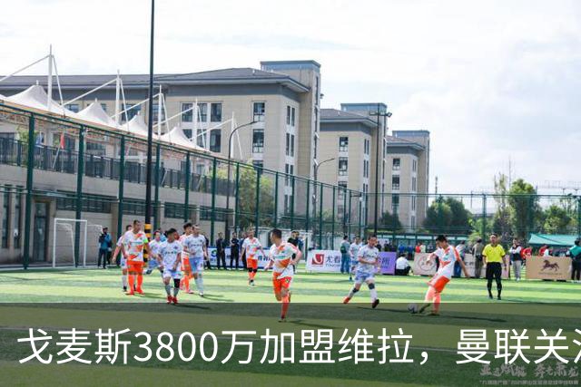 戈麦斯3800万加盟维拉，曼联关注霍尔、罗宾逊并签下18岁边锋