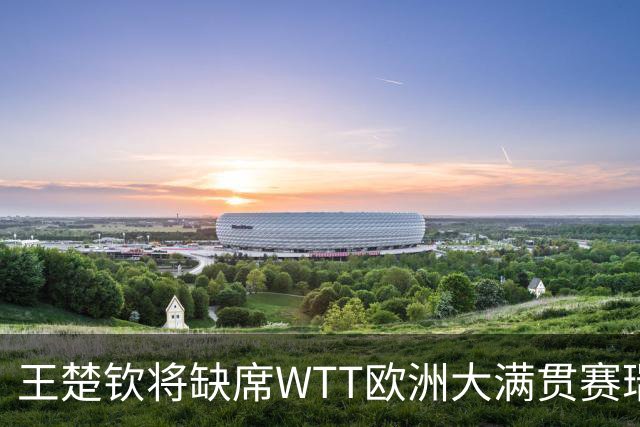 王楚钦将缺席WTT欧洲大满贯赛瑞典站