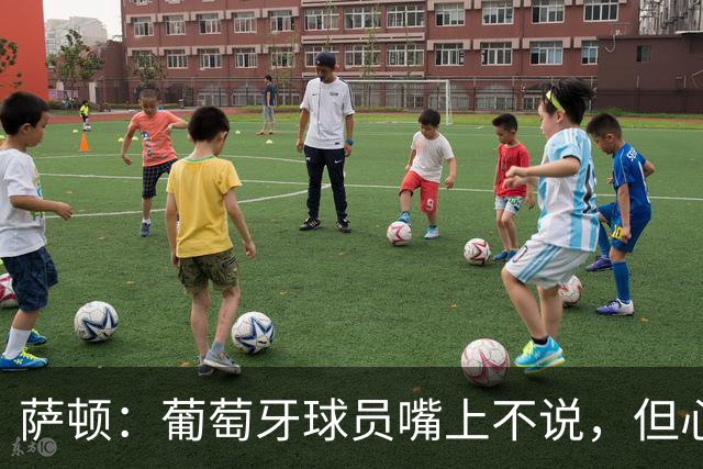萨顿：葡萄牙球员嘴上不说，但心里会想是C罗害我们世界杯出局
